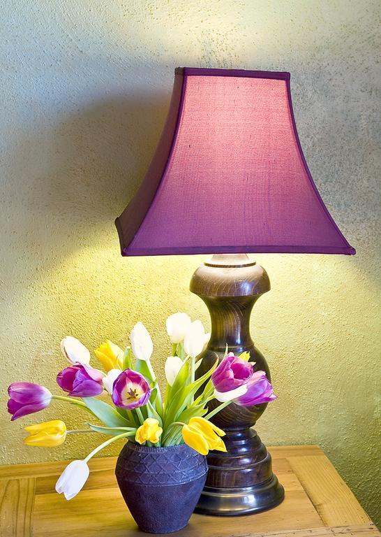 Casa Gallina - An Artisan Inn Taos Ruang foto